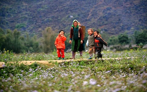 Bí kíp phượt Hà Giang mùa đẹp nhất trong năm